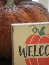 ミニウッドブロック　(Welcome Pumpkin DG)